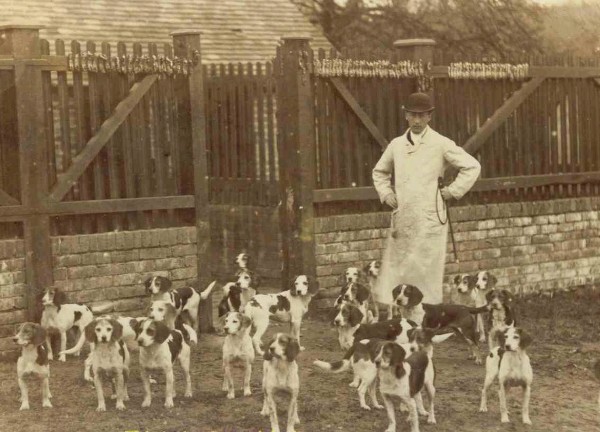 Caynsham Foot Beagle Pack 1885