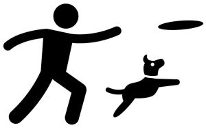 beagle beschäftigen frisbee