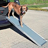 Hunderampe aus Aluminium für den Beagle