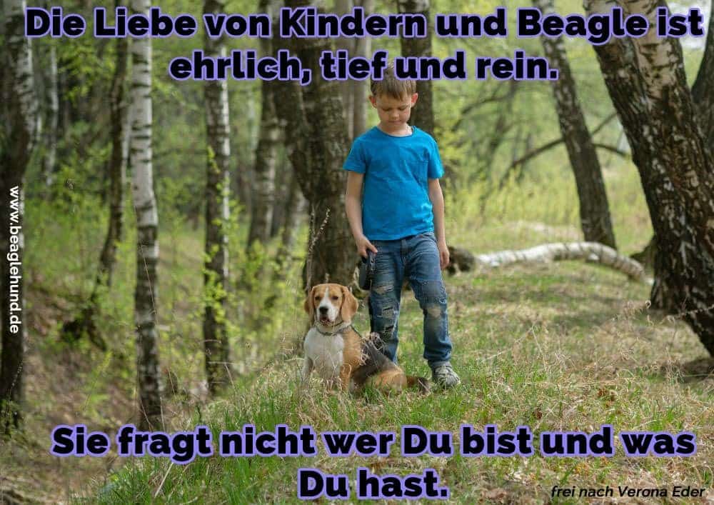 Beagle Zitate Und Sprüche