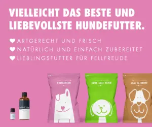 Das vielleicht beste und liebevollste BARF-Hundefutter für Deinen Shih Tzu! Das vielleicht beste und liebevollste BARF-Hundefutter für Deinen Shih Tzu!