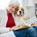 Interessante Bücher für Beagle Besitzer und solche die es werden wollen.