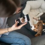 Hier findest Du tolle Fotos und Bilder zum Beagle
