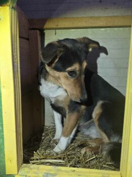 Miniaturansicht für das Anzeigenbild