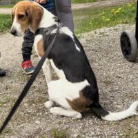 besonderer Schatz