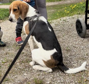 besonderer Schatz