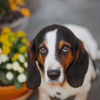 BUTCH - 2 Jahre