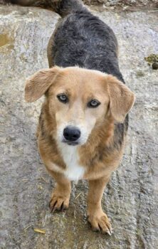 Anela - 09/2023 - 42cm