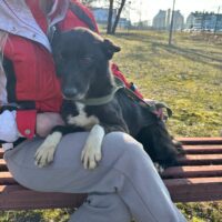 Lebensretter gesucht🆘Ein ganzes Leben in der Hölle, nun steht Zoya kurz vor der Tötung 🆘mit VIDEOS