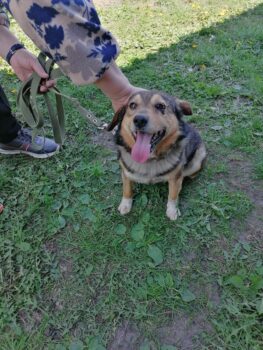 Miniaturansicht für das Anzeigenbild