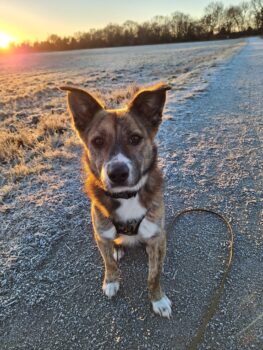 Miniaturansicht für das Anzeigenbild