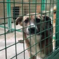 🆘Wer holt Flori aus der TÖTUNG, bevor es zu spät ist????🆘