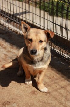 Miniaturansicht für das Anzeigenbild