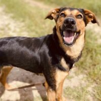 Mara: Weibchen • geb.ca. 2020-2022 • 47cm