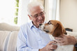 Senior Man Sitting On Sofa At Home With Pet Beagle Dog