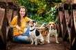 beautiful young woman and his dogs posing outside